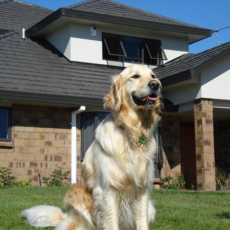 Ohuka Place Homestay Whitianga Dış mekan fotoğraf