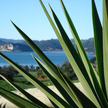 Ohuka Place Homestay Whitianga Dış mekan fotoğraf